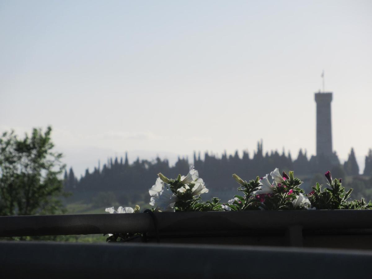 Monte Maino Bed & Breakfast Дезенцано-дель-Гарда Екстер'єр фото